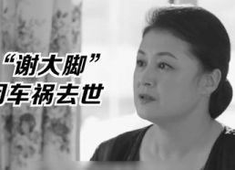 娱乐圈的吃瓜影帝免费小说,娱乐圈幕后风云录