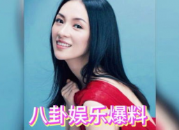 娱乐小葱花明星吃瓜,娱乐圈幕后真相曝光