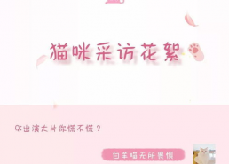 明星星座表