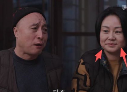乡村爱情明星,演绎农村生活的璀璨星辰