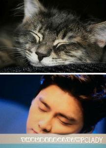 娱乐吃瓜猫嘎嘎